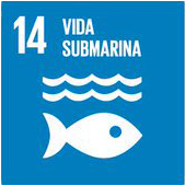 vida-submarina ODS 14