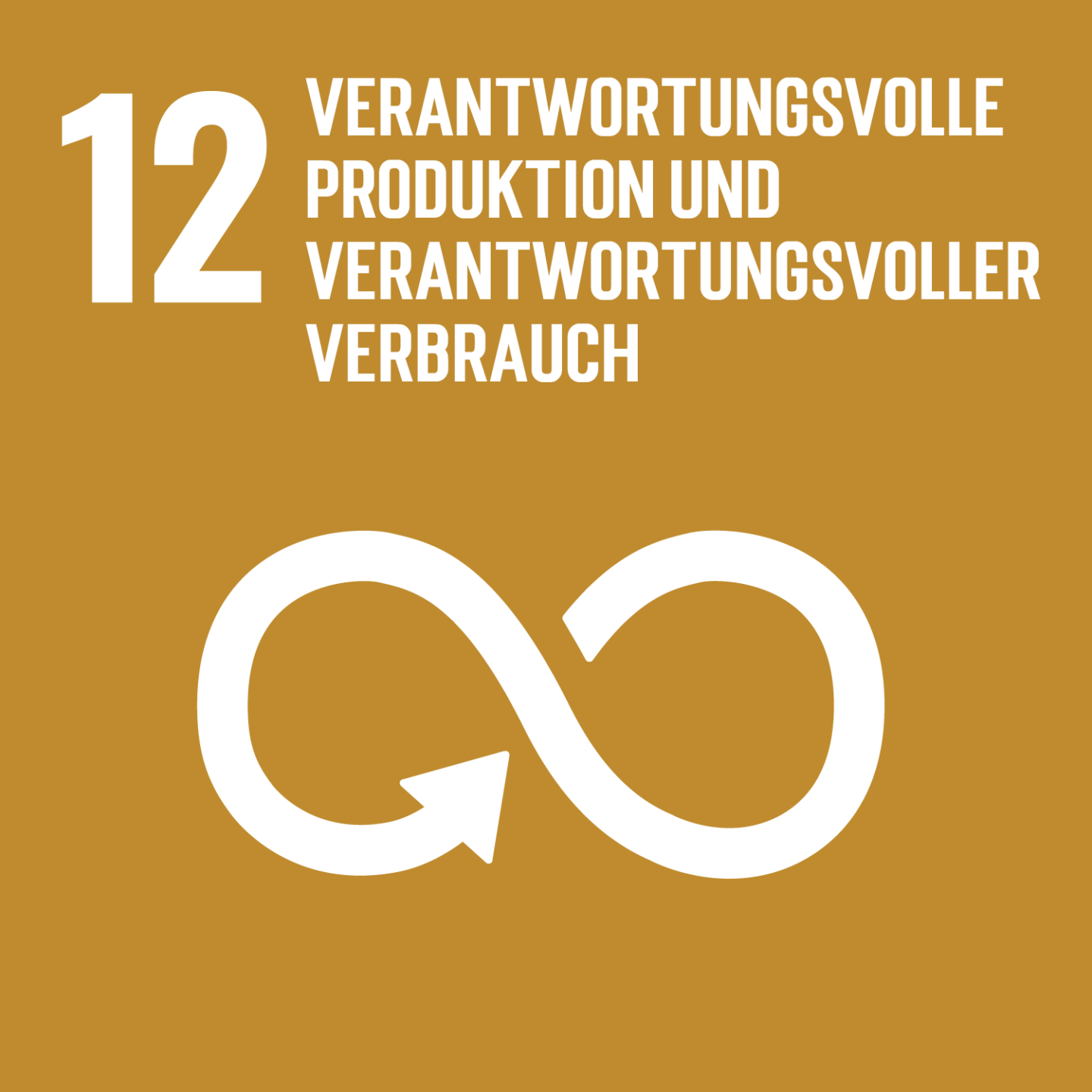 SDG 12