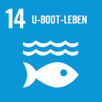 objetivo-14 SDG 14