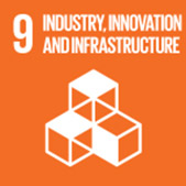 industry SDG 9
