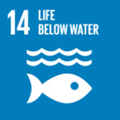 life-below-water SDG 14