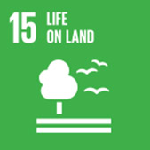 life-on-land SDG 15