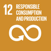 responsible-consumption SDG 12